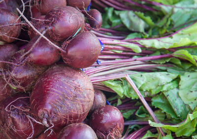 Close-up of beets