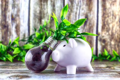 savings