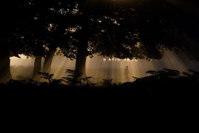 Silhouette trees against the sky