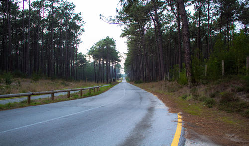 Road amidst trees in forest