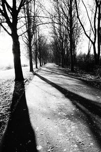 Road amidst trees against sky