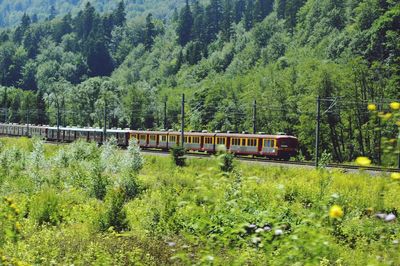 Train on railroad track