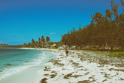 Scenic view of beach against clear blue sky