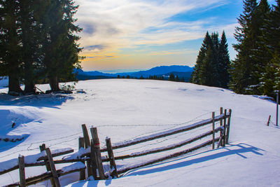 Scenic view of snow covered field against sky during winter