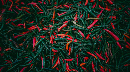 Full frame shot of red chili peppers