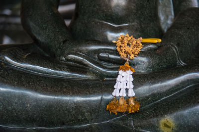 Close-up of buddha statue in temple