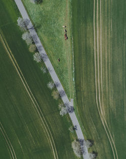 High angle view of road amidst green field