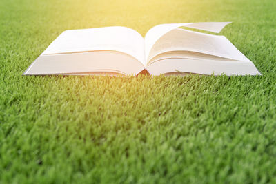 Close-up of open book on field