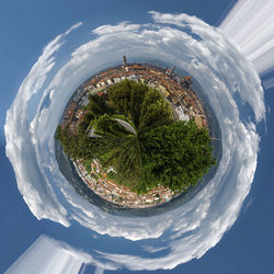 View of trees against sky