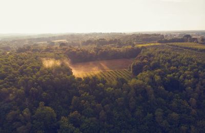 High angle view of trees on hill against sky