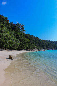 Scenic view of beach against clear blue sky