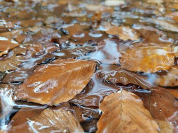 High angle view of water