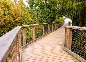 Bridge in forest