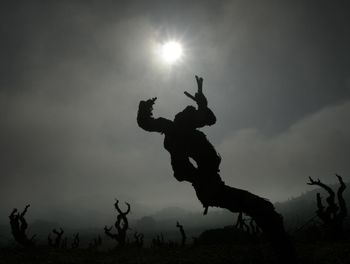 Silhouette of birds on landscape against sky