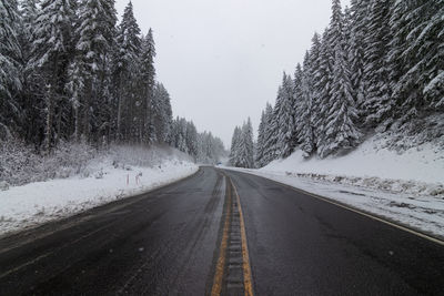 Road amidst trees against sky