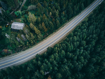 High angle view of road amidst trees in forest