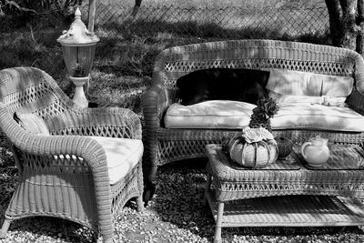 High angle view of girl relaxing on chair in yard