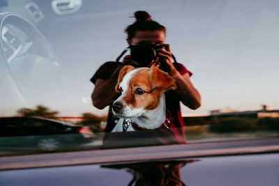 Dog in car