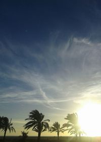 Low angle view of silhouette palm trees against sky