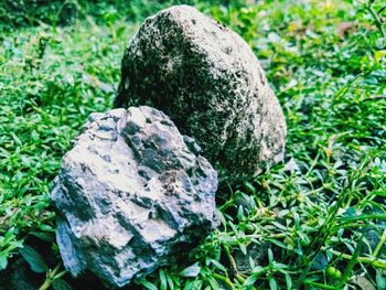 Close-up of stones on rock