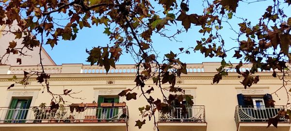 Low angle view of trees and buildings against sky