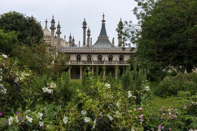 View of flowering plants in front of building