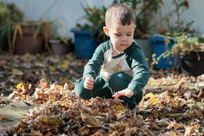 Young boy playing with fallen leaves in the backyard on a warm autumn afternoon