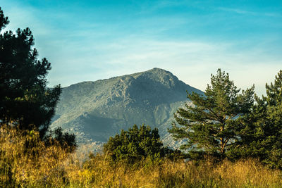 Scenic view of trees and mountains against sky