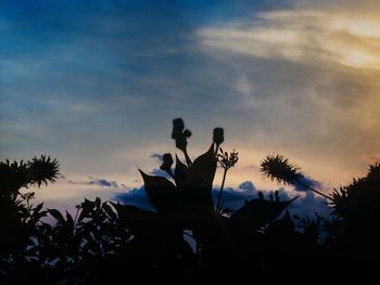 Low angle view of silhouette trees against sky at sunset