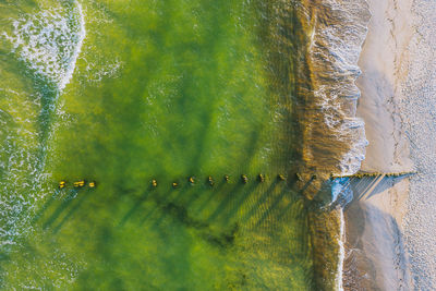 High angle view of people on beach