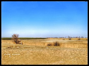 Scenic view of field against clear blue sky