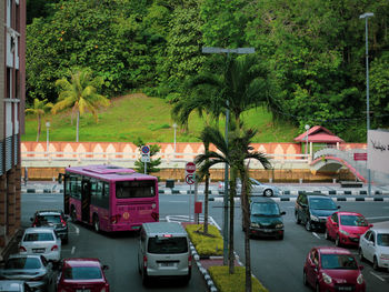 Vehicles on road along trees