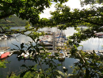 Scenic view of lake against trees