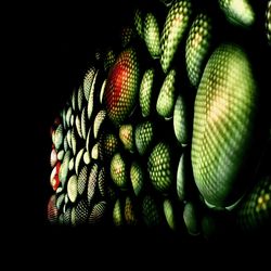 Close-up of green leaf against black background