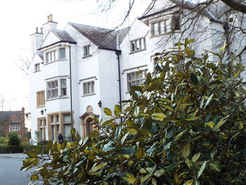 Building with trees in background