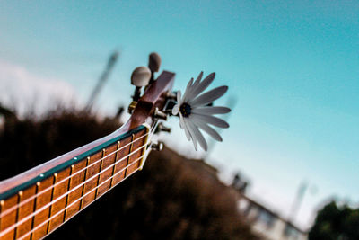 Close-up of flower on guitar against clear sky