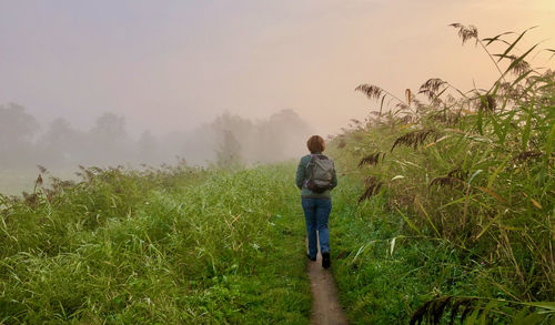 Tranquil scene with rear view of a women walking on a green footpath on a misty morning