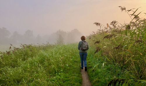 Rear view of man walking on field against sky