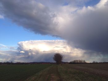 Scenic view of field against cloudy sky