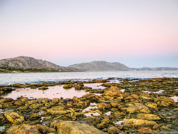 Scenic view of sea against clear sky