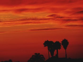 Silhouette trees against dramatic sky during sunset