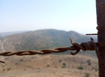 Close-up of barbed wire