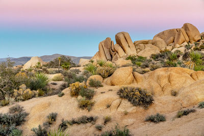 Rock formations in desert against sky