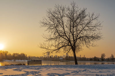 Bare tree by frozen lake against sky during sunset