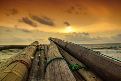 Bamboos at shore against sky during sunset