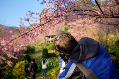 Rear view of boy with flowers on tree