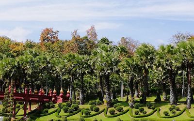 Plants and trees in park against sky