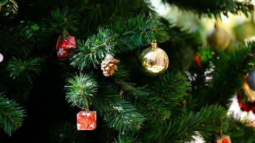 Close-up of christmas decorations hanging on tree