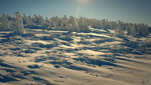 Scenic view of snow covered land against sky