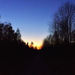 Silhouette of trees at sunset